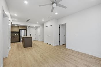 Spacious room and kitchen with ceiling fan1